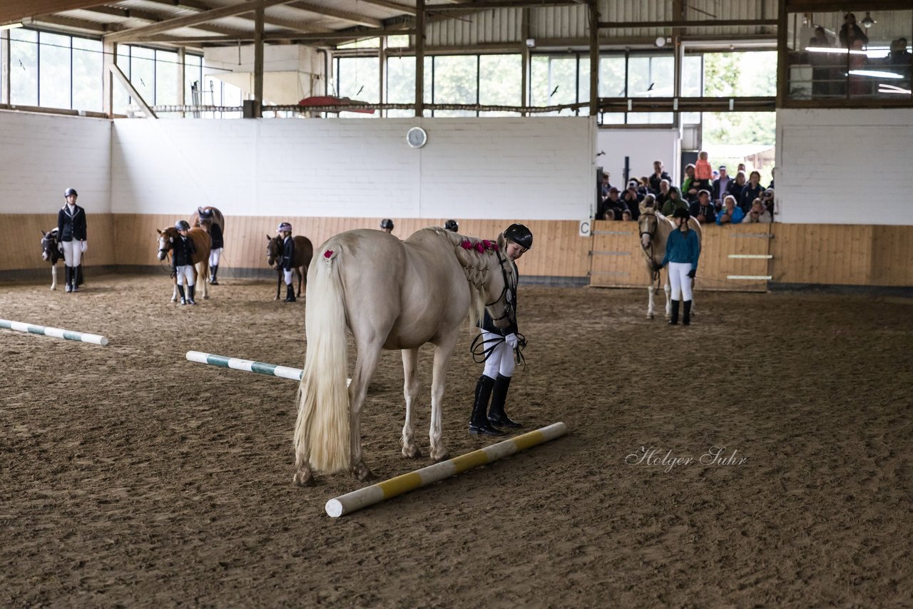 Bild 95 - Pony Akademie Turnier